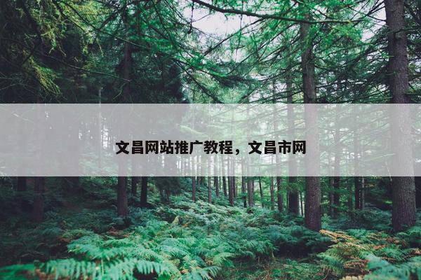 文昌网站推广教程，文昌市网