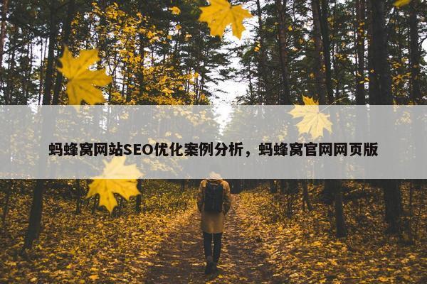 蚂蜂窝网站SEO优化案例分析，蚂蜂窝官网网页版