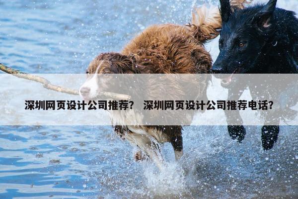 深圳网页设计公司推荐？ 深圳网页设计公司推荐电话？