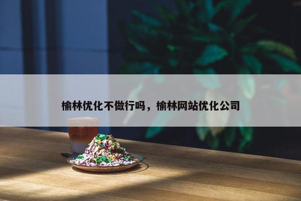 榆林优化不做行吗，榆林网站优化公司