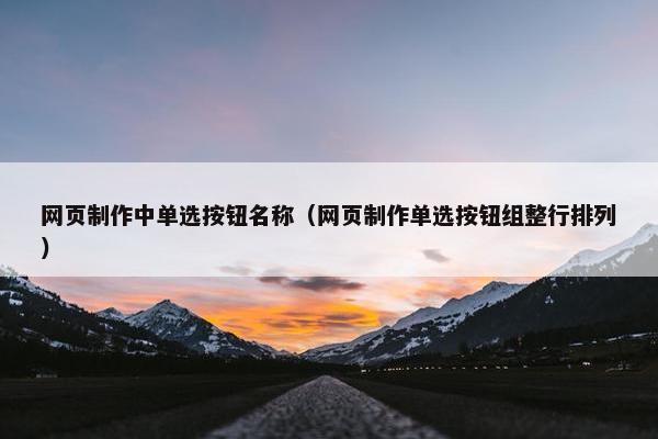 网页制作中单选按钮名称（网页制作单选按钮组整行排列）