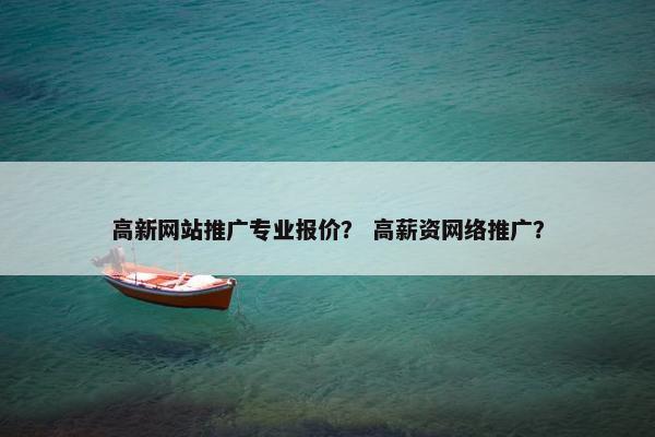 高新网站推广专业报价？ 高薪资网络推广？
