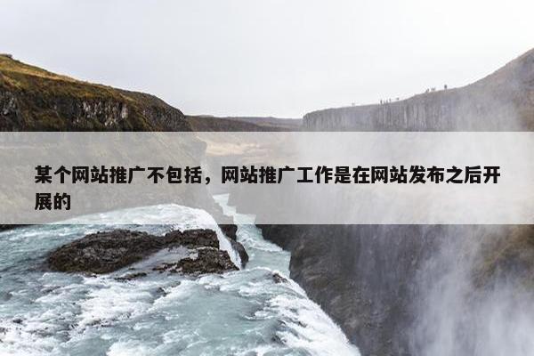 某个网站推广不包括，网站推广工作是在网站发布之后开展的