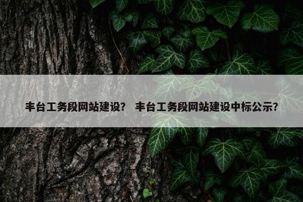 丰台工务段网站建设？ 丰台工务段网站建设中标公示？