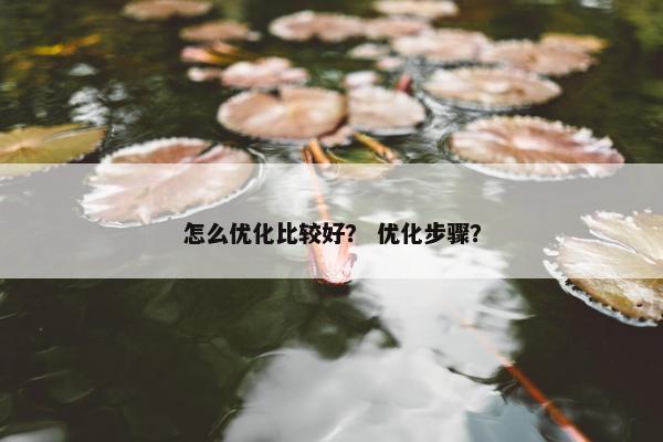 怎么优化比较好？ 优化步骤？