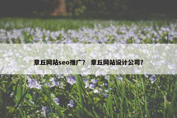 章丘网站seo推广？ 章丘网站设计公司？