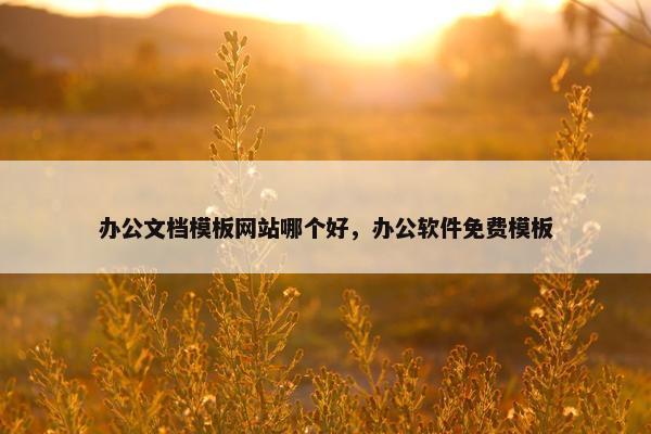 办公文档模板网站哪个好，办公软件免费模板