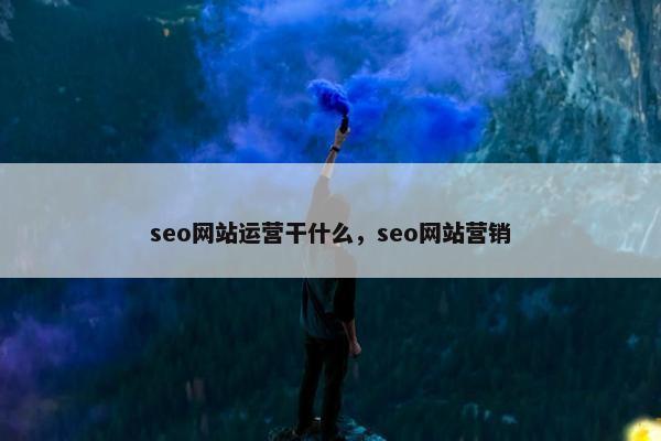 seo网站运营干什么，seo网站营销