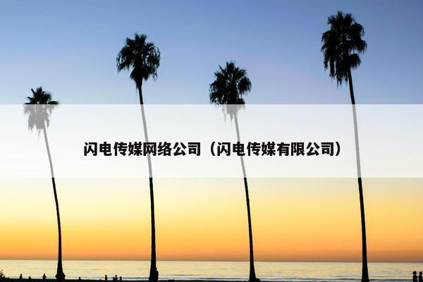 闪电传媒网络公司（闪电传媒有限公司）