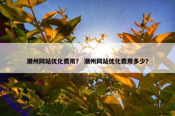 潮州网站优化费用？ 潮州网站优化费用多少？