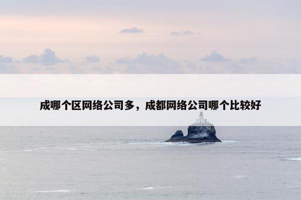 成哪个区网络公司多，成都网络公司哪个比较好