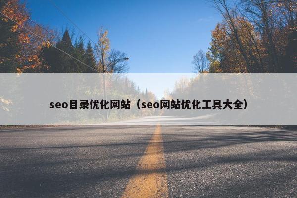seo目录优化网站（seo网站优化工具大全）