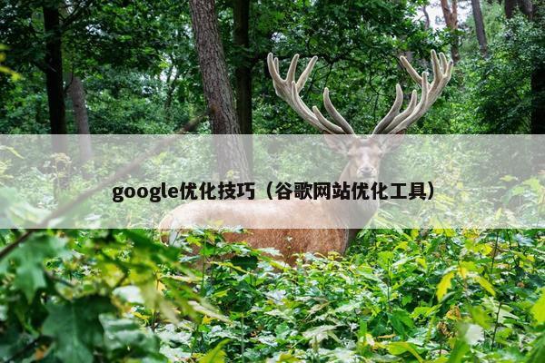 google优化技巧（谷歌网站优化工具）