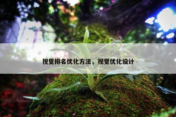 视觉排名优化方法，视觉优化设计