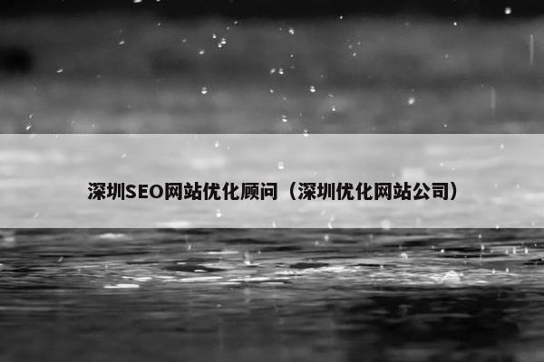 深圳SEO网站优化顾问（深圳优化网站公司）