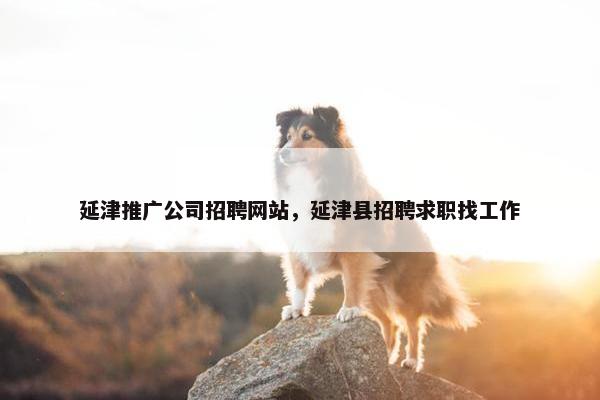 延津推广公司招聘网站，延津县招聘求职找工作