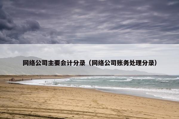 网络公司主要会计分录（网络公司账务处理分录）