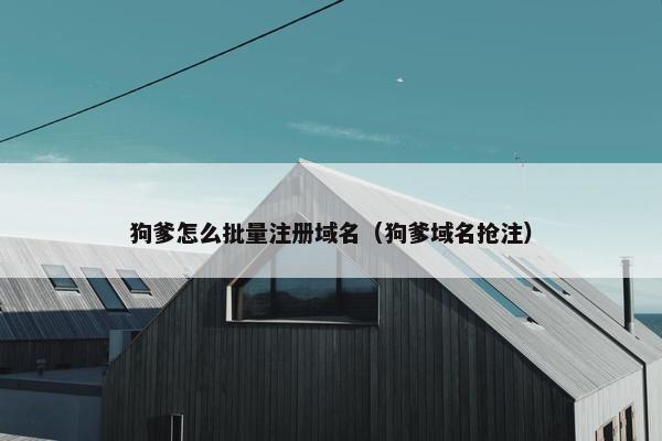 狗爹怎么批量注册域名（狗爹域名抢注）