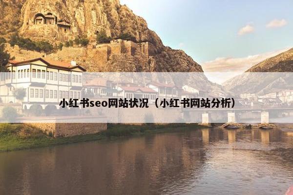 小红书seo网站状况（小红书网站分析）