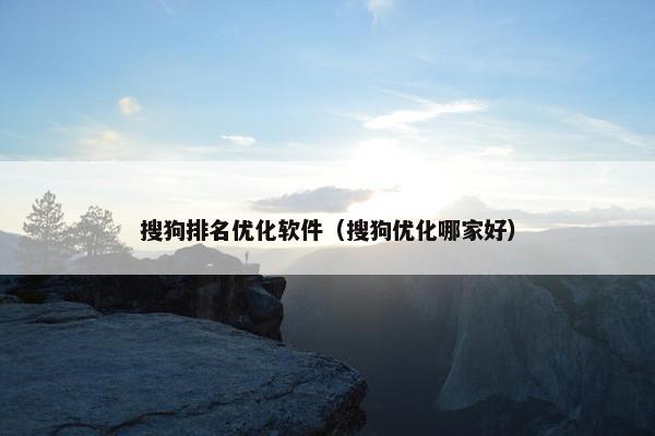 搜狗排名优化软件（搜狗优化哪家好）