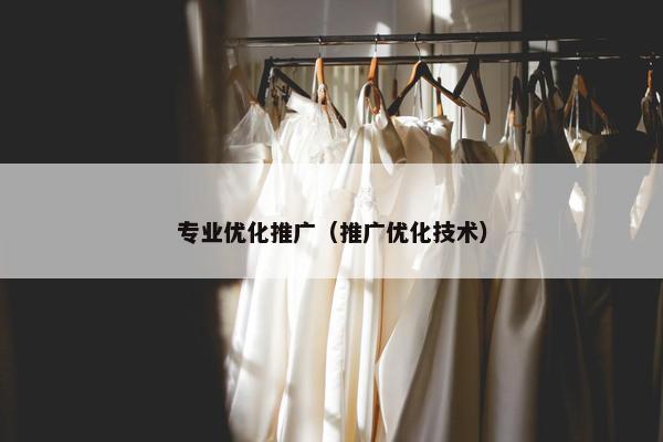 专业优化推广（推广优化技术）