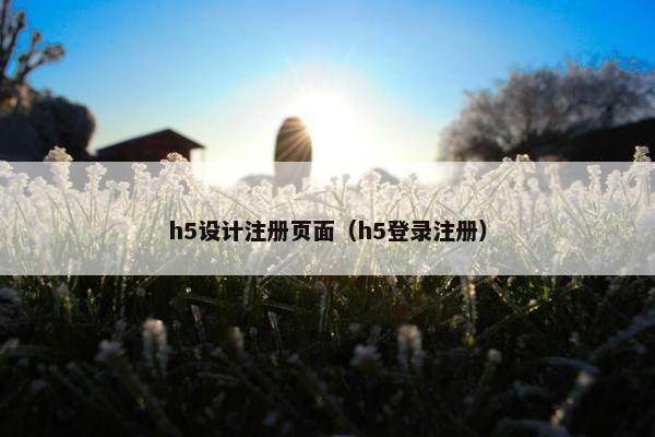 h5设计注册页面（h5登录注册）