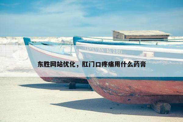 东胜网站优化，肛门口疼痛用什么药膏
