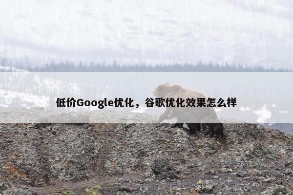 低价Google优化，谷歌优化效果怎么样