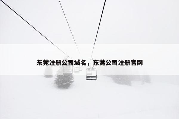 东莞注册公司域名，东莞公司注册官网