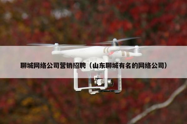 聊城网络公司营销招聘（山东聊城有名的网络公司）