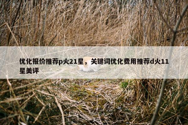 优化报价推荐p火21星，关键词优化费用推荐d火11星美评