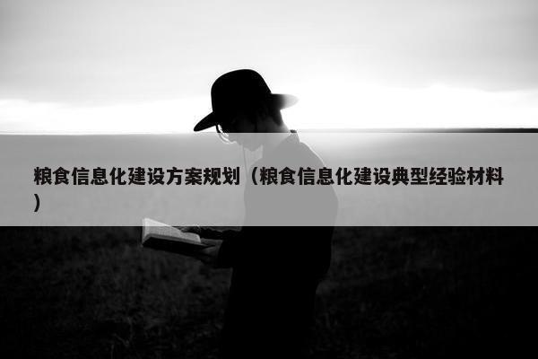 粮食信息化建设方案规划（粮食信息化建设典型经验材料）