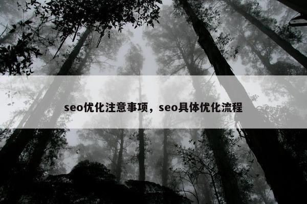 seo优化注意事项，seo具体优化流程