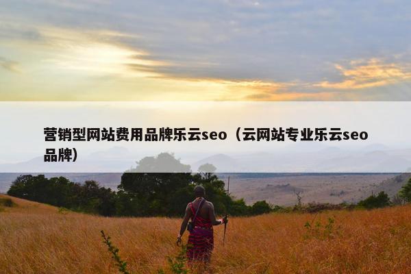 营销型网站费用品牌乐云seo（云网站专业乐云seo品牌）