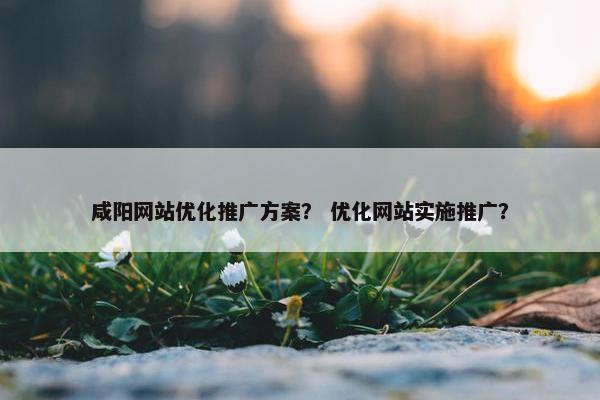 咸阳网站优化推广方案？ 优化网站实施推广？