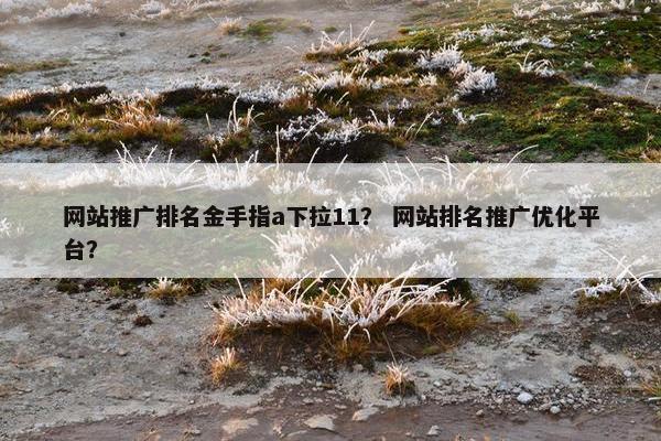 网站推广排名金手指a下拉11？ 网站排名推广优化平台？