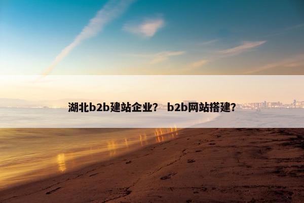 湖北b2b建站企业？ b2b网站搭建？