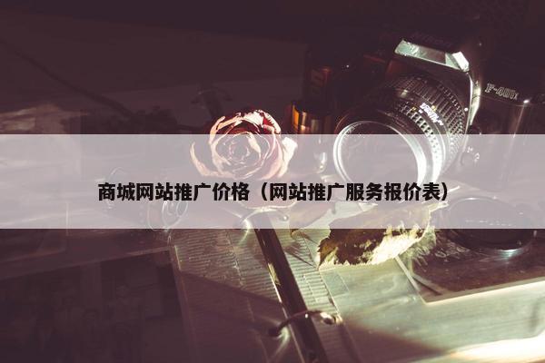 商城网站推广价格（网站推广服务报价表）