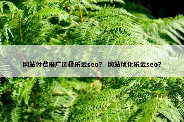 网站付费推广选择乐云seo？ 网站优化乐云seo？