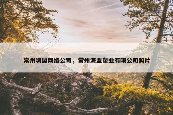 常州嗨盟网络公司，常州海盟塑业有限公司照片