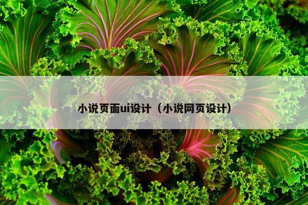 小说页面ui设计（小说网页设计）