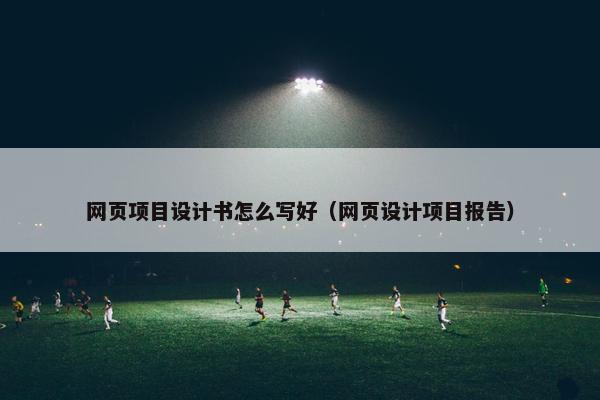 网页项目设计书怎么写好（网页设计项目报告）