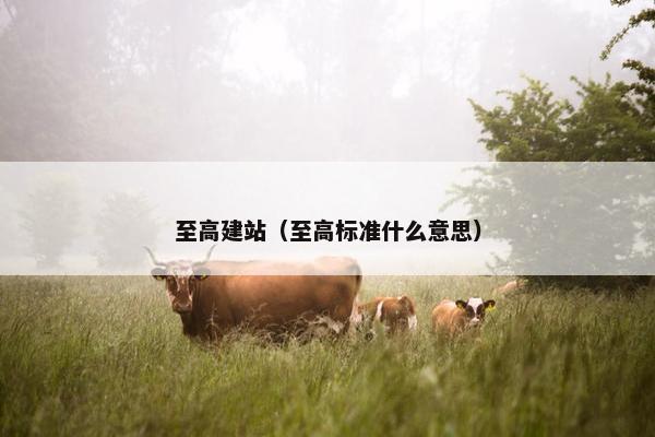 至高建站（至高标准什么意思）