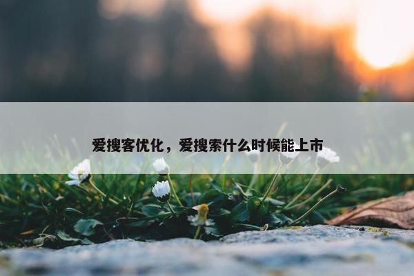 爱搜客优化，爱搜索什么时候能上市