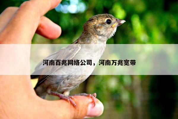 河南百兆网络公司，河南万兆宽带