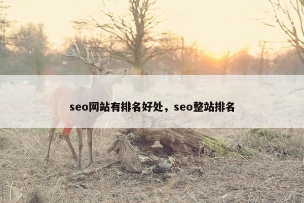 seo网站有排名好处，seo整站排名