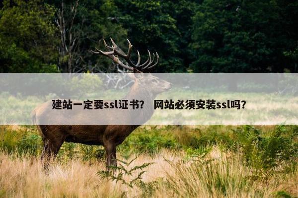 建站一定要ssl证书？ 网站必须安装ssl吗？