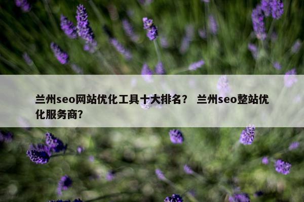 兰州seo网站优化工具十大排名？ 兰州seo整站优化服务商？