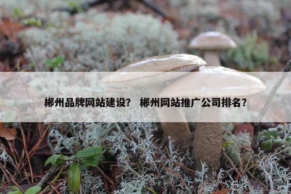 郴州品牌网站建设？ 郴州网站推广公司排名？