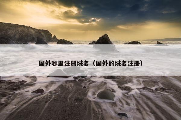 国外哪里注册域名（国外的域名注册）